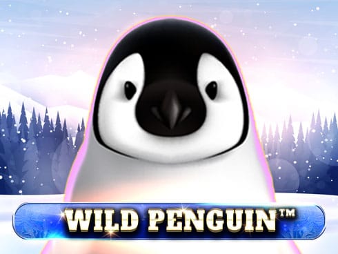Wild Penguin thumbnail